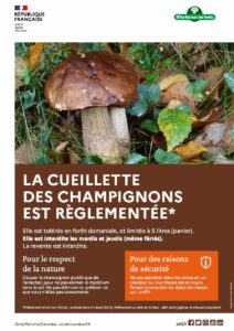 Lire la suite à propos de l’article Cueillette des champignons en forêt domaniale