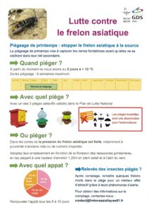 Lire la suite à propos de l’article GDS Orne – Lutte contre le frelon asiatique