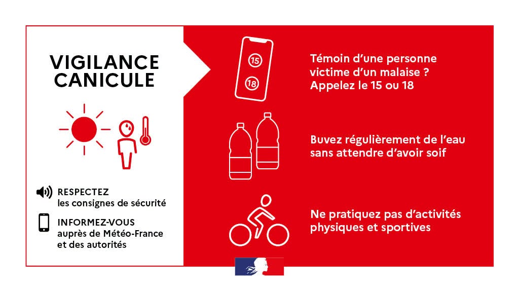 You are currently viewing Canicule
