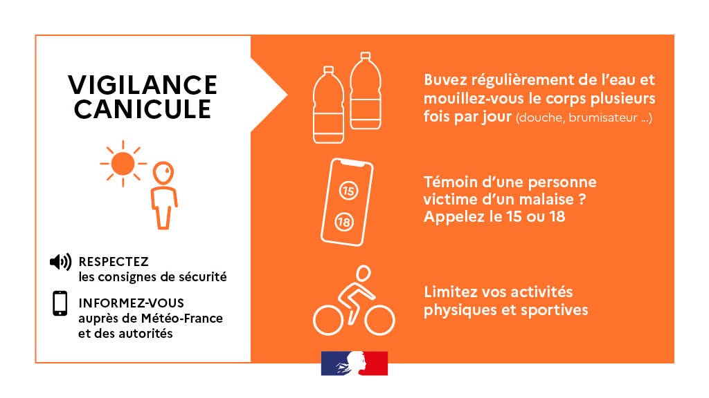 You are currently viewing Canicule